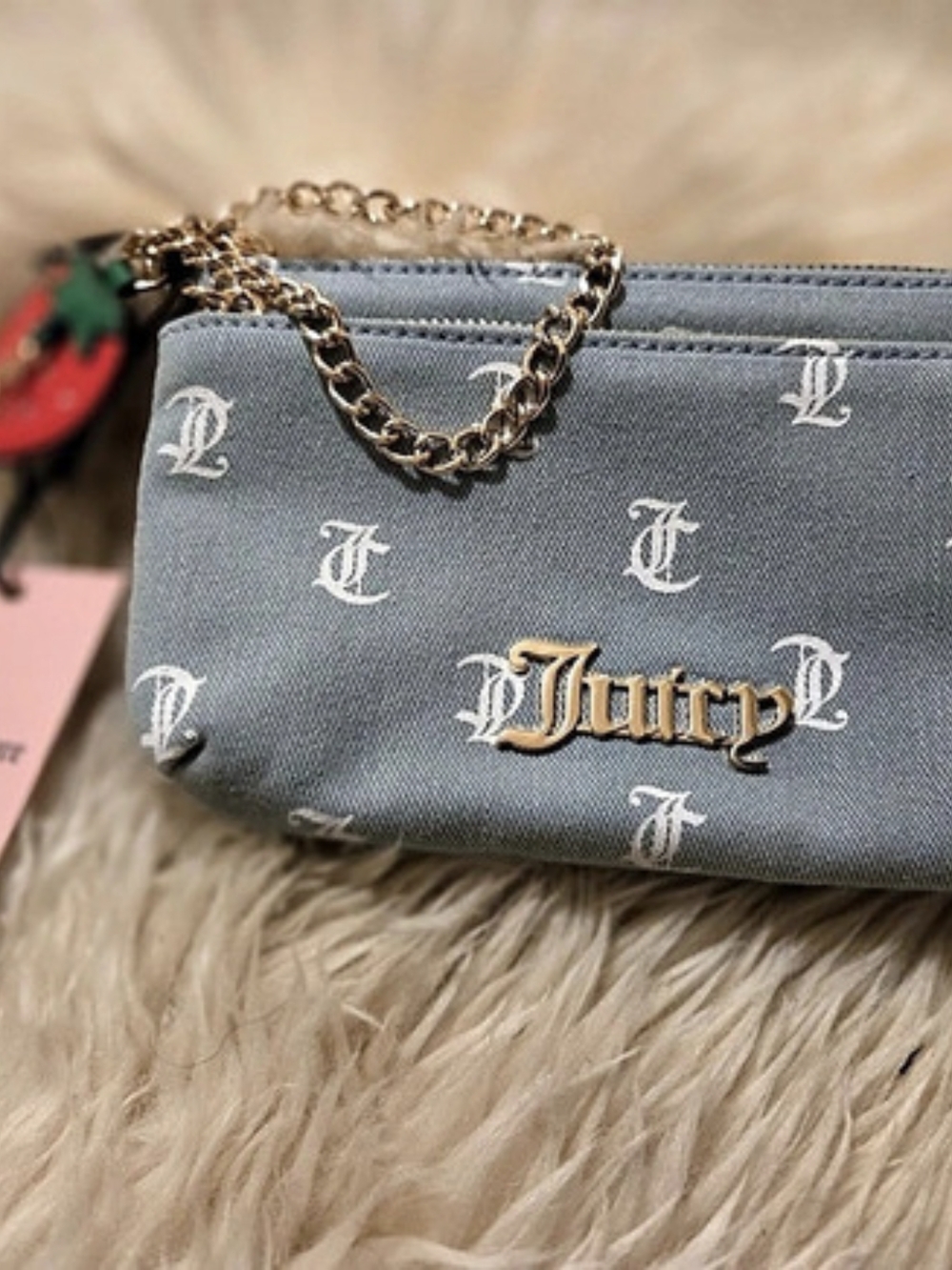 Juicy Couture Light Blue Monogram Canvas Double Zip Pouch